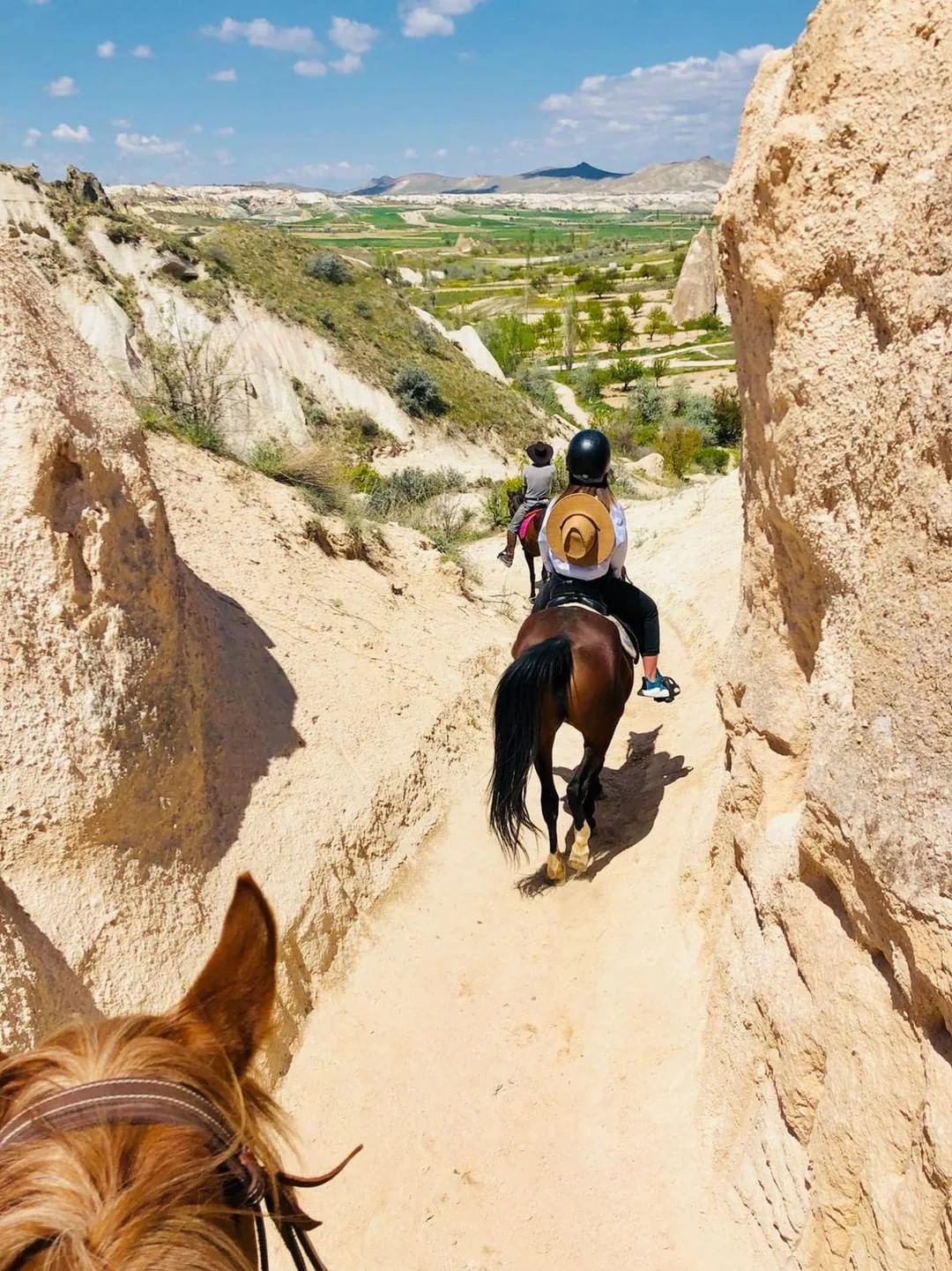 Horse Riding